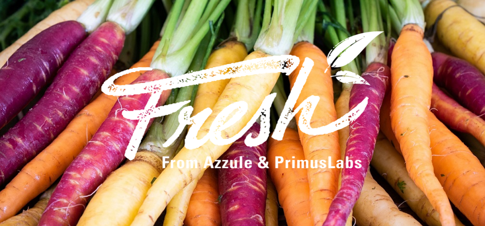 Fresh from Azzule and PrimusLabs: September Updates | Azzule Systems